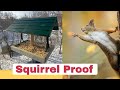 Is This Bird Feeder Squirrel Proof?