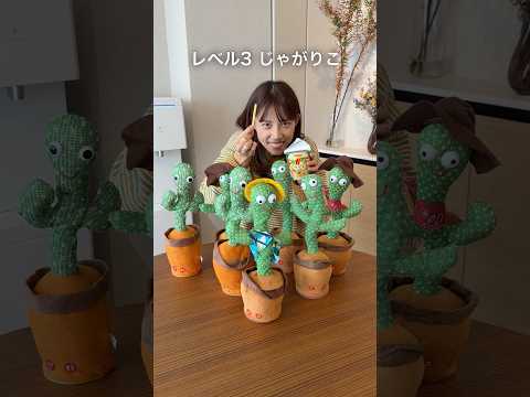 音を立ててはいけないASMR🌵