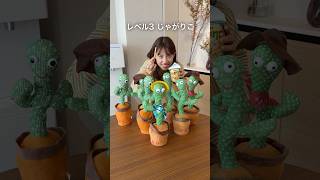 音を立ててはいけないASMR