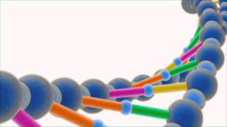 Nutrition, Obesity And Health