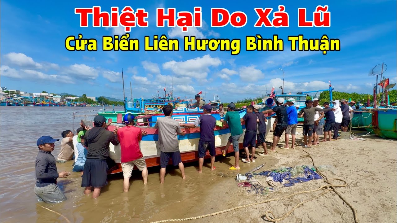 Ngư Dân Bình Thuận Mất Mấy Chục Tỷ Chỉ Trong Vài Giờ Khi Thuỷ Điện Xả Lũ Ngày 4-12