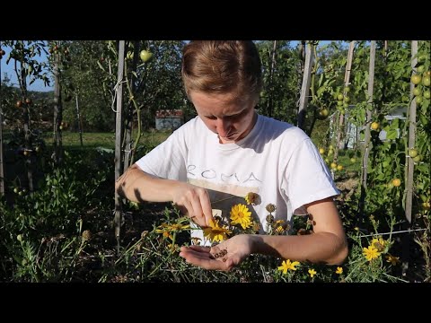Video: Čo Sú Rastliny Symbolom Krajín