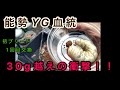 能勢YG血統 初ブリード　1回目交換でも30g越えの衝撃！！