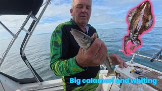 BIG Port Phillip Bay whiting and calamari - secret locations exposed  #Fishing #portphillipbay 