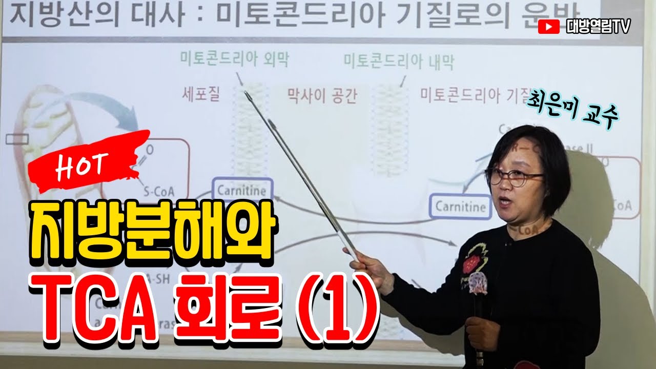 영양교사 합격! 기초완성 / 지방분해와 TCA 회로 (1)