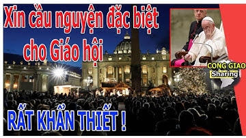 Xin cầu nguyện đặc biệt cho Giáo hội, RẤT KHẨN THIẾT !