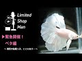 ゲリラ！リミテッドショップマン〜ベタ編〜 潮見の秘蔵っ子、ここにあり…