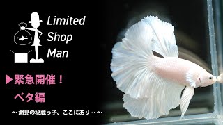ゲリラ！リミテッドショップマン〜ベタ編〜 潮見の秘蔵っ子、ここにあり…