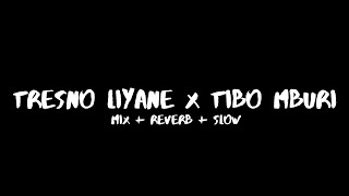 Tresno Liyane x Tibo Mburi ( Mix + Reverb + Slow ) CIDRO BARENG🎧