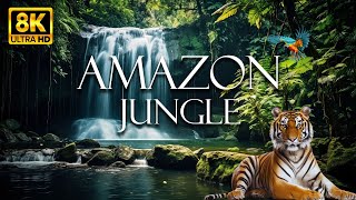 African Jungle 4K  Animals That Call The Jungle Home | Scenic Relaxation Film