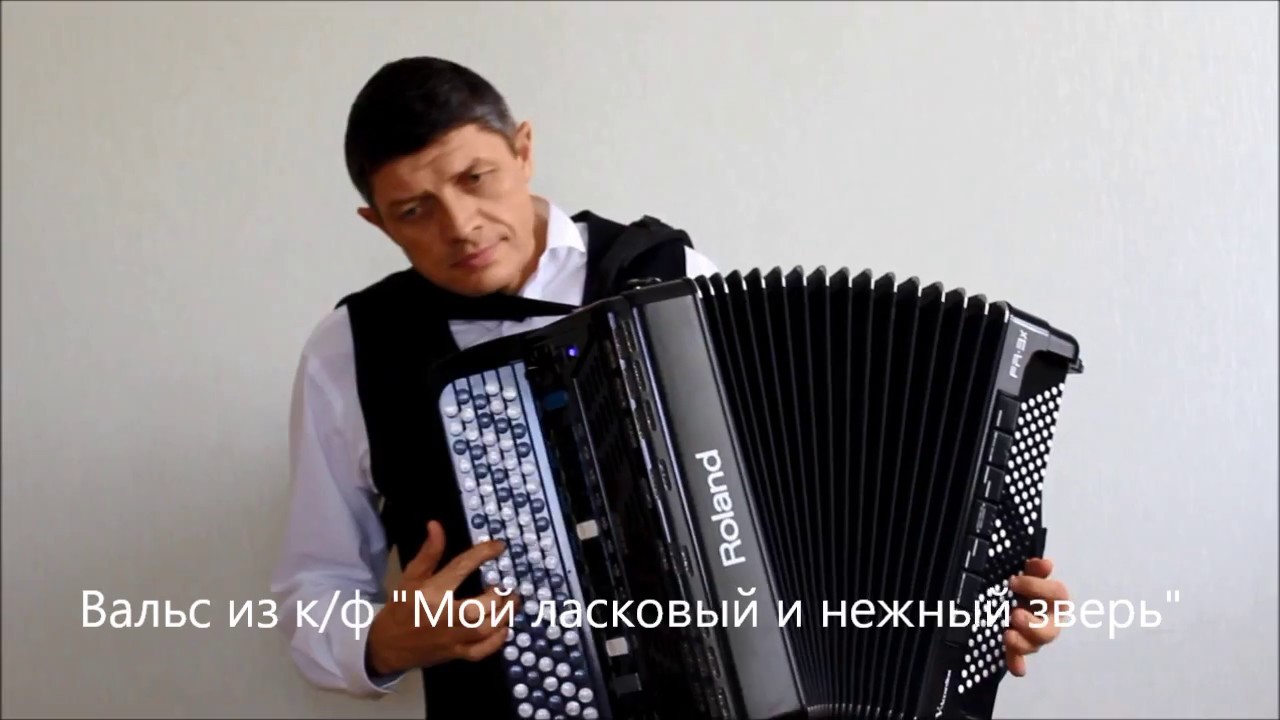 Баянист Сочи Демо - YouTube