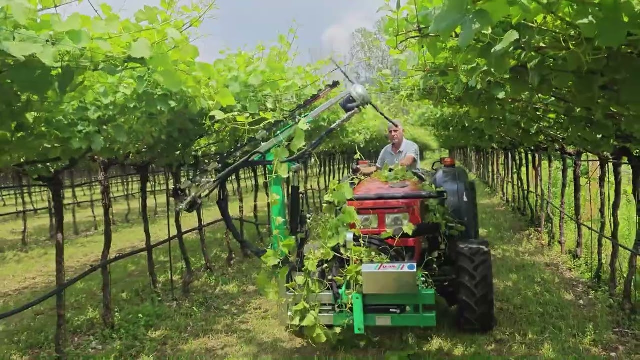 Cimatrice CTS 200 Tendone