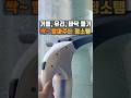 거울, 유리, 바닥, 욕실 물기 빨아드리는 청소 꿀템 [영상 158번] #Shorts #전동스퀴지 #무선스퀴지 #물기제거 #유리창청소 #욕실청소 #청소꿀템 #살림꿀템 #이건사야한다