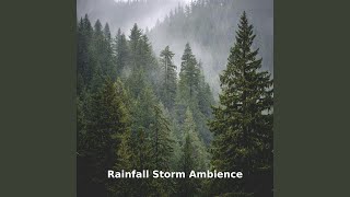 Rainfall Storm Ambience Flow, Pt.20