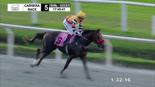 Vidéo de la course PMU PRIX IN SALUTE (2018)