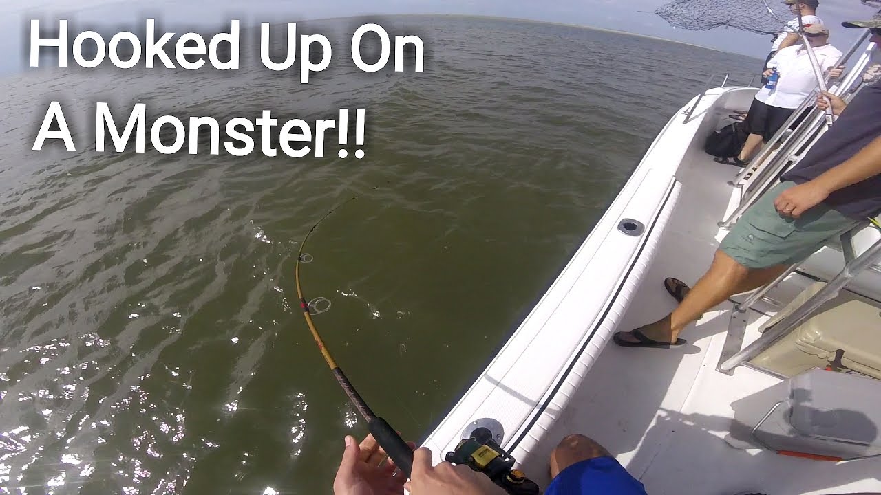 Inshore Fishing Edisto Island, SC (Hooked Up On Something HUGE) YouTube