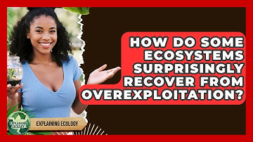 How Do Some Ecosystems Surprisingly Recover From Overexploitation? - Explaining Ecology