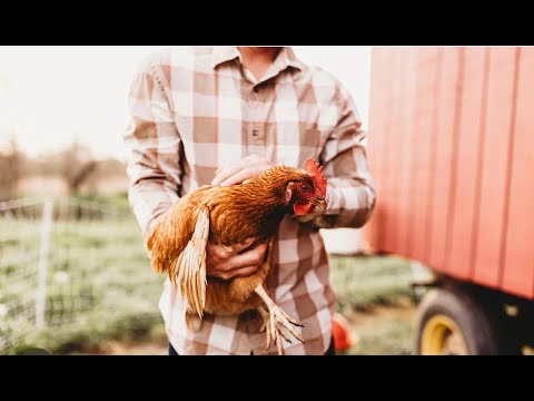 The Freed Farm Tour with IHL