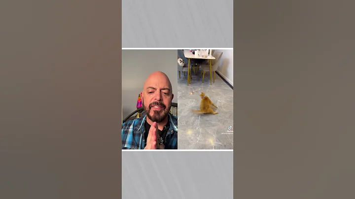 PSA: DON'T Torture Your Cat! #shorts