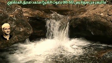 ما تيسر من سورة يس (55-83) "صدى" بصوت الشيخ/ محمد صديق المنشاوي