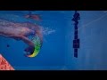 How to do a freestyle flip turn for beginners