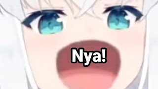 Fub