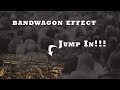 The Bandwagon Effect - What is The Bandwagon Effect?