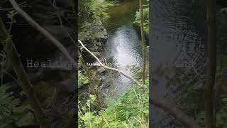 sound healing / nature sound / waterfall