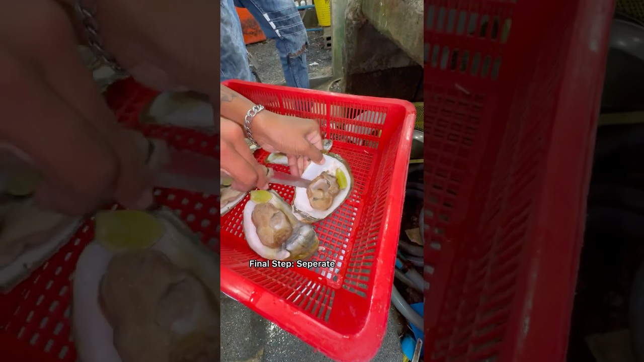 Покупка ОГРОМНЫХ устриц