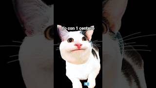 lity  me pienso q son 100