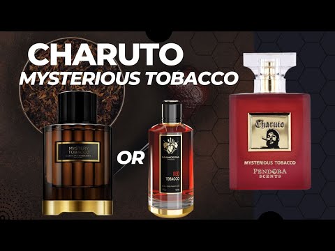 を豊富に品揃え Charuto Mysterious Tobacco EDP 100ml 香水 【公式通販】