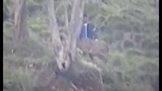 CABÁRCENO CANTABRIA