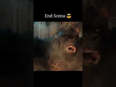 'Good Bye Monkey'
