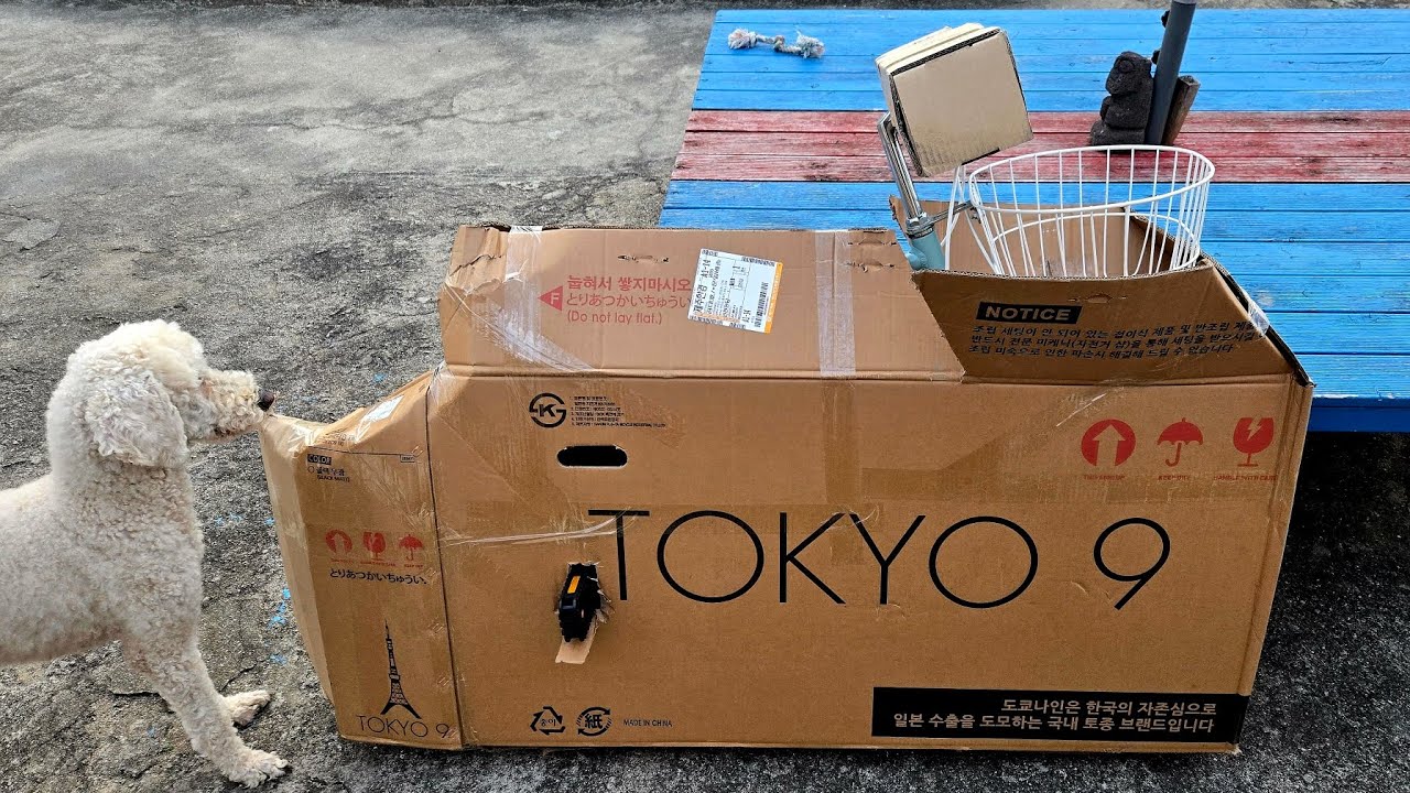 2번째 도쿄나인! 미스트 미니벨로 20 바구니 자전거 📦 언박싱