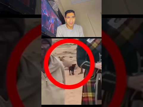 اضحك من قلبك😹💦👌 #funnyvideo