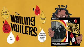 The Wailing Wailers - Vinyl Reissue from Studio One