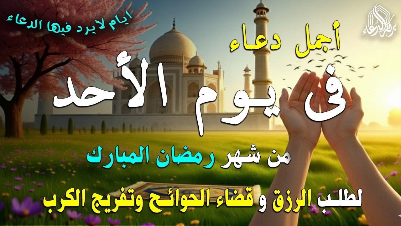دعاء فى يوم الأحد المستجاب دعاء  يوم 11 من شهر رمضان للرزق والشفاء العاجل وقضاء الحوائج 🤲(4k)
