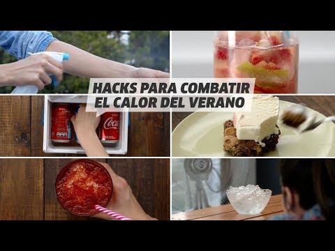 Hacks para combatir el calor | Trucos y curiosidades | VIX manualidades de animales