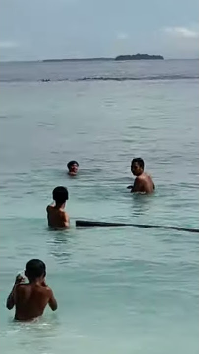 Download lagu pesona lumba lumba di pantai papua