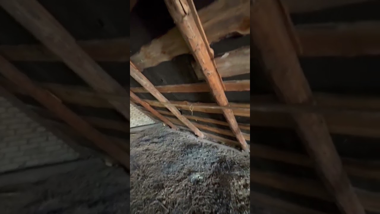 Осмотр крыши и чердака с клиентом перед началом работ. 