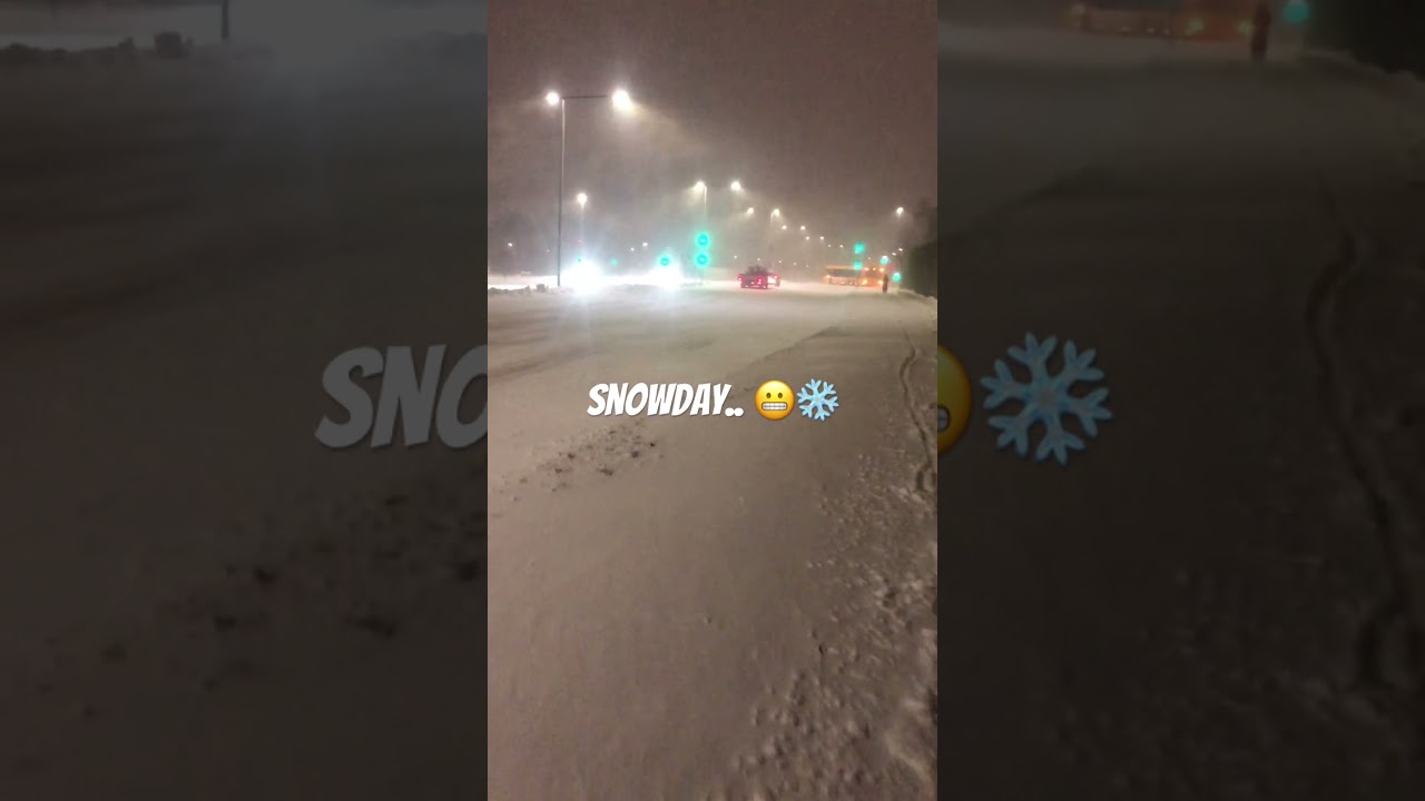 Snowday In Denmark - this small snowstorm cribbled our country for a few days 😅