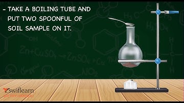 Science Activity | Science Online Class | Swiflearn Classes