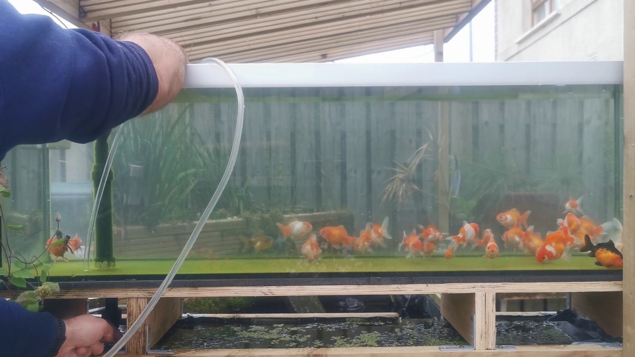 Relaxing maintenance on the Aqueduct tank