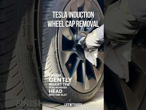 Tesla Removing The