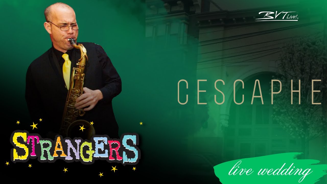 BVTLive! Strangers Philadelphia Wedding Band Performs at Cescaphe Ballroom