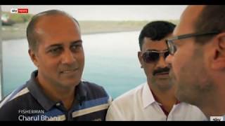 A plastic tide - Documentary