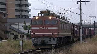 おおいたのれっしゃシリーズ2020 第12回 EF81 300・400・600番台