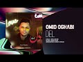 Omid Oghabi Del OFFICIAL TRACK امید عقابی دل Omid Oghabi Del OFFICIAL TRACK امید عقابی دل