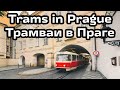 Подборка трамваев Праги / Trams in Prague Compilation