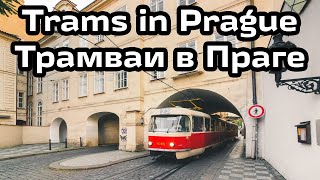 картинка: Трамваи в Праге | Trams in Prague | Tramvaje v Praze